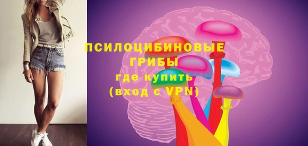 ГАЛЛЮЦИНОГЕННЫЕ ГРИБЫ Волоколамск