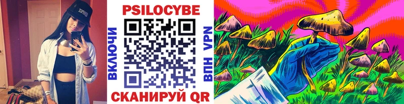 Галлюциногенные грибы Psilocybe  ОМГ ОМГ как зайти  Зуевка 